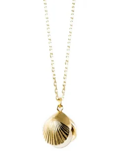 Discount Kiel James Patrick Little Shellfish